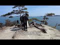 仙台から日帰り島旅！浦戸諸島と馬の背【松島】