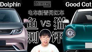 试驾体验报告【BYD Dolphin VS ORA Good Cat】一惊；一炸【Which model better？】好猫--很齐但不多；海豚--很全有待齐全【中文 \u0026 ENG CC SUB】