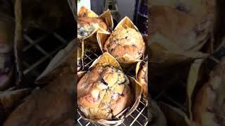 Delicious blueberry cream cheese muffins recipe!