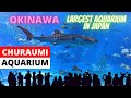 OKINAWA CHURAUMI AQUARIUM [KUROSHIO SEA] | OKINAWA, JAPAN | JAPAN TRAVEL VLOG | MAMUN CHOWDHURY