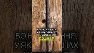 Анатомія влади: відповіді, які не оцінять #гумор #екзамени #анатомі