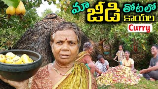 కొండపోడు జీడితోట| జీడికాయల కూర #Tribals rare curry @TribalMirror