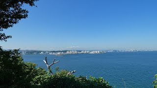 【横須賀散歩】観光スポット 無人島 猿島（三笠桟橋から連絡船で約10分）