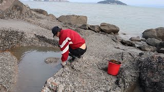 赶海发现一个宝藏水坑，舀干后竟然是鲨鱼窝，渔妹高兴坏了