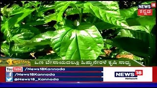 ಅನ್ನದಾತ | Guide To Sericulture In Karnataka | Feb 6, 2019