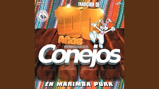 Chapicumbias 2: Ritmos y Palmeras / Cobanerita / Concepción Tutuapa / La Tempestad