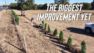 Planting A 400ft Long Living Privacy WALL!