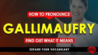 How To Pronounce Gallimaufry  |  With Definition or Sentence Examples