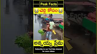 😭చెల్లెలి కోసం అన్నయ్య😭 Brother love on sister #factsintelugu #amazingfacts #peakfacts #shorts