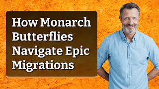 How Monarch Butterflies Navigate Epic Migrations