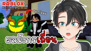 ผมลองผลมังกรใน Blox Fruits เถื่อนครั้งแรก แต่ความรู้สึกคือ...