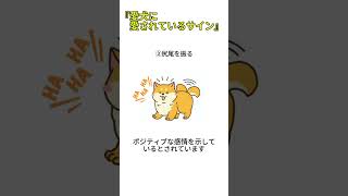 雑学（追加）『愛犬に愛されているサイン』＃犬、＃雑学、＃犬雑学、＃いぬ、＃豆知識、＃VOICE VOX（ずんだもん）、＃愛されているサイン、＃VOICE VOX（青山龍星）