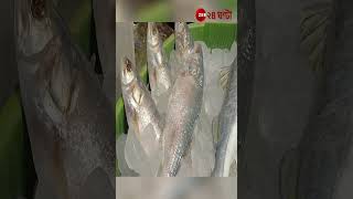 Hilsa: অবশেষে জটিলতা কাটিয়ে বাঙালির পাতে আসছে পদ্মার ইলিশ  | Zee 24 Ghanta