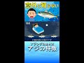 アジングの釣り方（アジの特徴） shorts