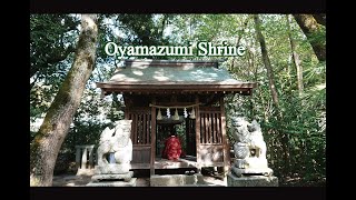 大山祇神社　楠　生樹の御門  Oyamazumi Shrine