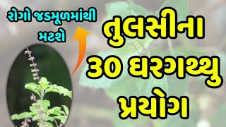 ખાસ આ રીતે કરો તુલસીના પાનનું સેવન થશે આટલાં બધાં રોગોમાં ફાયદાઓ - ઘરે થાય એવા 30 પ્રયોગો | tulsi |