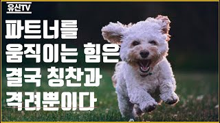 파트너를 움직이는 힘은 결국 칭찬과 격려뿐이다 (네트워크마케팅, 다단계)