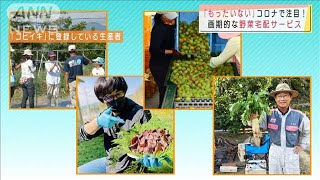 廃棄野菜激減！作る側も買う側も満足の宅配サービス(2021年6月6日)