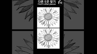 다른그림찾기 4-9탄(틀린그림찾기, 관찰력, 집중력, 퀴즈, 게임, 두뇌, 머리, 치매방지)