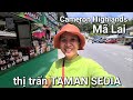 Cameron Highlands Malaysia - Đi bộ khám phá thị trấn Taman Sedia.