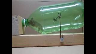 Rat webcam எலி பிடிக்கும் புதிய கருவி