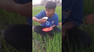 ស្វាយអំបិលម្ទេស #video #viralvideo #trending #trendingshorts #shortvideo #subscribe #funny #short