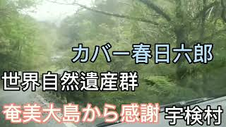 世界遺産登録の奄美大島から感謝ひとり酒場で森進一カバー春日六郎(岩田幸喜)