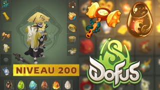 CE DOFUS EST INCROYABLE POUR PVP !