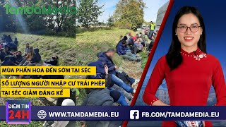 TamdaMedia | ĐIỂM TIN 24H - 30.01.2025 | Số lượng người nhập cư trái phép tại Séc giảm đáng kể