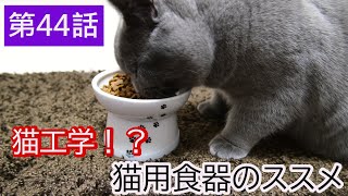 第44話　新しいごはん用食器を買ってみた！【猫壱　脚付フードボウル】