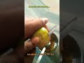 passion fruit medicinal values how to make passion fruit juice in telugu shorts