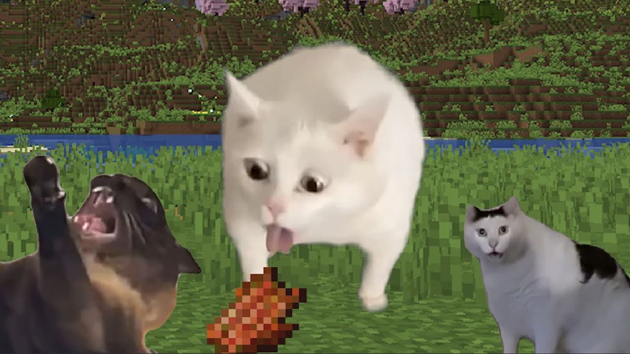 Minecraft Cat Memes Youtube