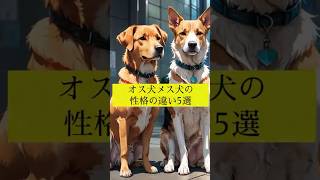 オス犬メス犬の性格の違い5選 #犬の雑学 #犬のいる暮らし #犬の豆知識 #犬のいる生活 VOICEVOX:春歌ナナ