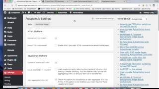 Remove Render Blocking Javascript and CSS With Autoptimize Plugin
