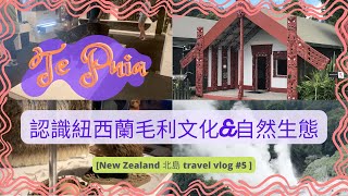 [New Zealand 北島 travel vlog #5 ] 到訪Te Puia, 認識紐西蘭毛利文化🗿\u0026自然生態🦤