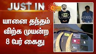 Elephant tusk | கொடைக்கானலில் யானை தந்தம் விற்க முயன்ற 8 பேர் கைது | Sun News