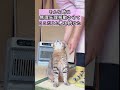 元野良猫にヒーターに近付くと危ないよと教え続けた結果…笑 元野良猫 保護猫 かわいい