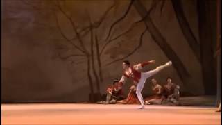 Andrey Bolotin Giselle Peasant 1st variation