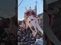 【小谷】最高のやりまわしを決める！熊取だんじり祭（宮入）令和6年10月12日