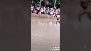 പഴയ കാളപൂട്ട് മത്സരം(2)