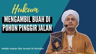 Hukum Mengambil Buah Di Pohon Pinggir Jalan -  Habib Hasan Bin Ismail Al Muhdor