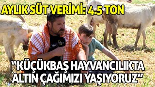 Aylık Süt Verimi: 4.5 Ton / “Küçükbaş Hayvancılıkta Altın Çağımızı Yaşıyoruz”