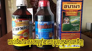 យល់ដឹងពីធាតុសកម្មថ្នាំ ដើម្បីងាយស្រួលរកទិញលើទីផ្សារ