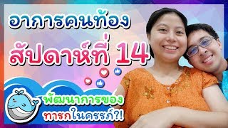 อาการคนท้องสัปดาห์ที่ 14: เริ่มไตรมาสที่ 2 ของการตั้งครรภ์ | พัฒนาการลูกในท้อง | Whale Family