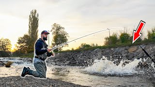 NEUVĚŘITELNĚ agresivní ryby se ukrývají v této říčce (PŘEKVAPENÍ!) Urban fishing a přívlač ve městě.