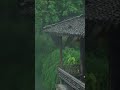 中国风景china tourism烟雨江南southern misty rain