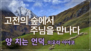 [신광교회 금요오전 기독교 고전문학 모임] 고전의 숲에서 주님을 만나다 1강_양 치는 언덕 2021.6.11(금)