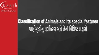 Classification of Animals and special features|પ્રાણીસૃષ્ટીનું વર્ગીકરણ અને  વિશિષ્ટ લક્ષણો |