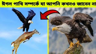 ঈগল পাখি ৬০ বছর জীবিত থাকার গোপন রহস্য যা সকলে যানেনা || The secret of eagle bird living for 60 year