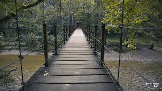 Swinging Bridge area at Patapsco Valley State Park